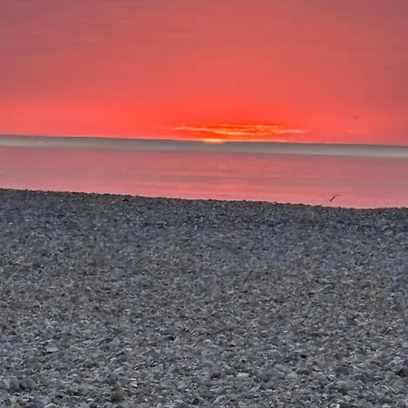 Maison Jardin Terrasse Parking Gratuit Autour De La Maison Semesterbostad *